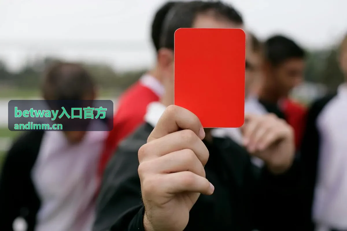 betway入口官方移动端访问案例示意